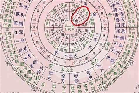 八字 命主 意思|八字命理研究